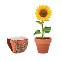 VASO TERRACOTTA